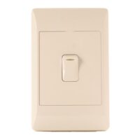 Switch + cover - 2 way