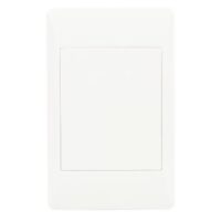 Cover plate blank (100 x 50) 0