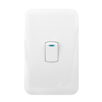 Switch + cover (1 lever 2 way)
