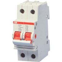 E202/SHD202 DOUBLE POLE ISOLATORS DIN RAIL MOUNT (415 VAC) (2NO) - (E202/100r)