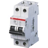 S202 DOUBLE POLE MCB 10kA DIN RAIL MOUNT (400VAC - 125VDC) - (S202-D40 )